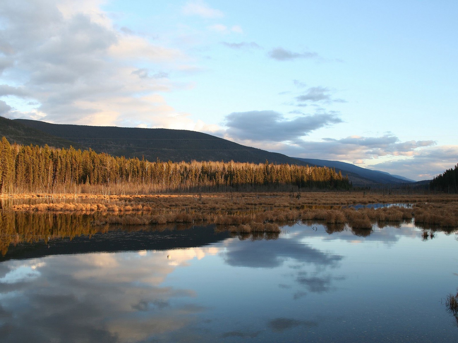 Поздняя осень