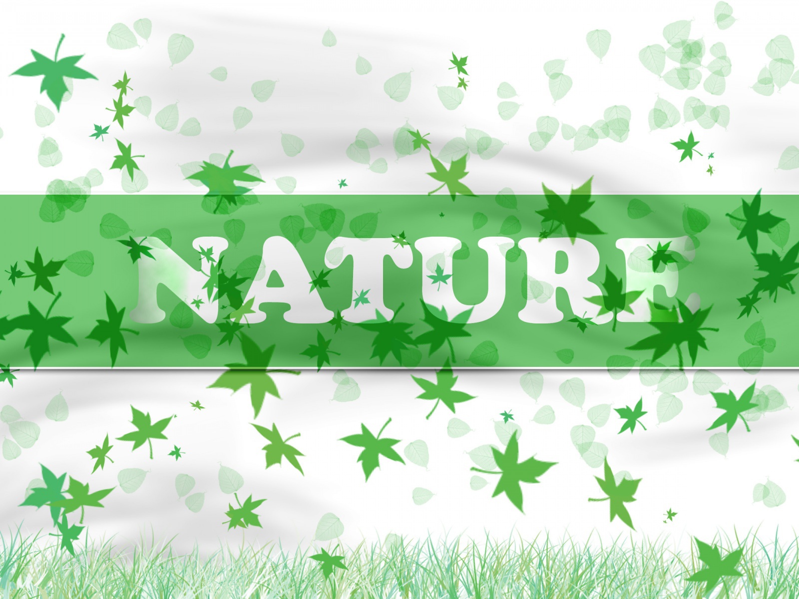 В натуре - природа