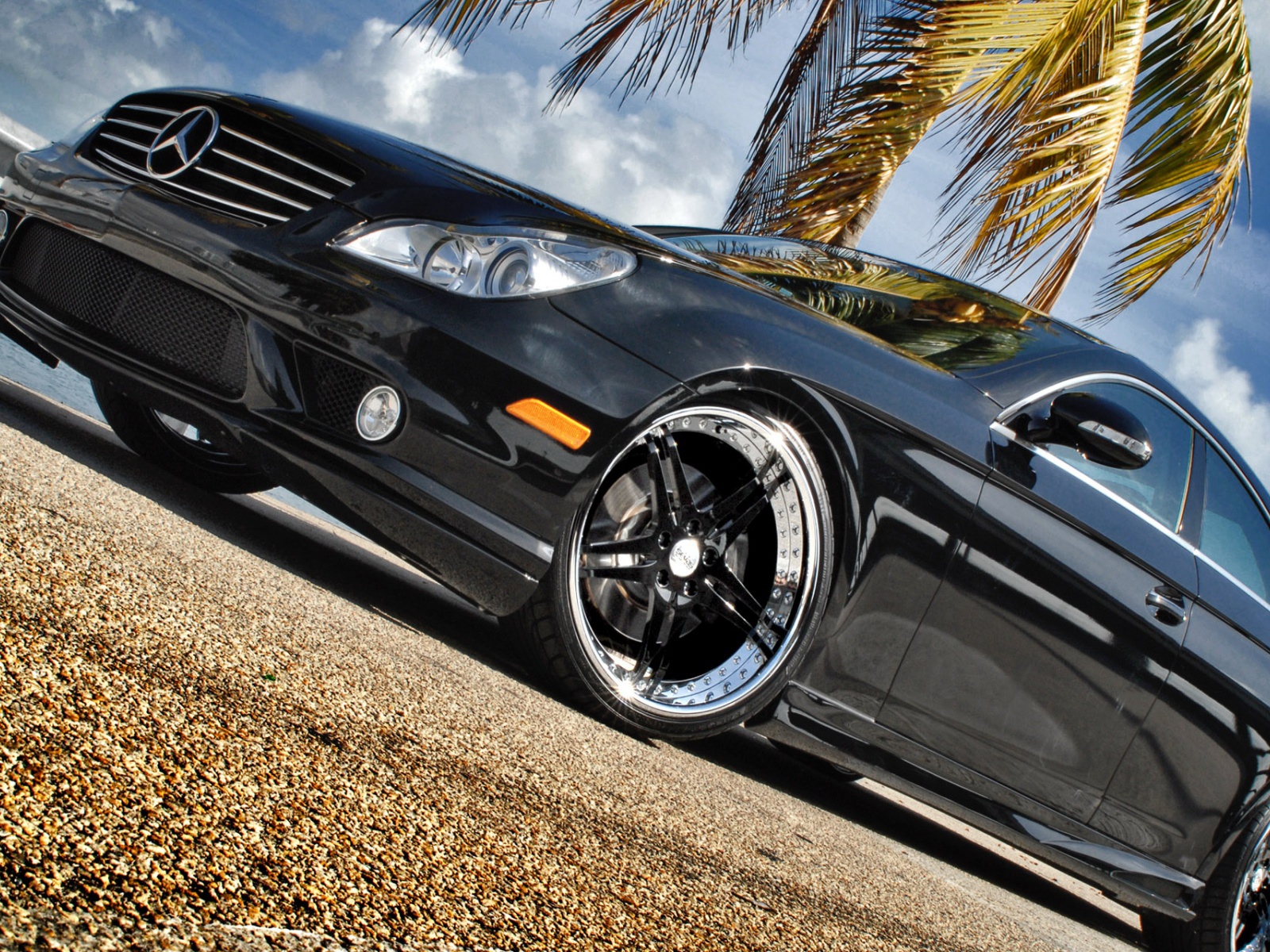 Черный Мерин