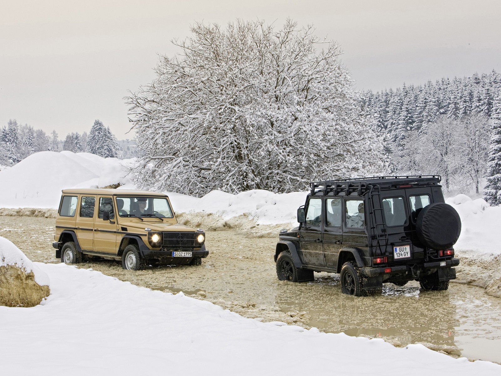 Внедорожники