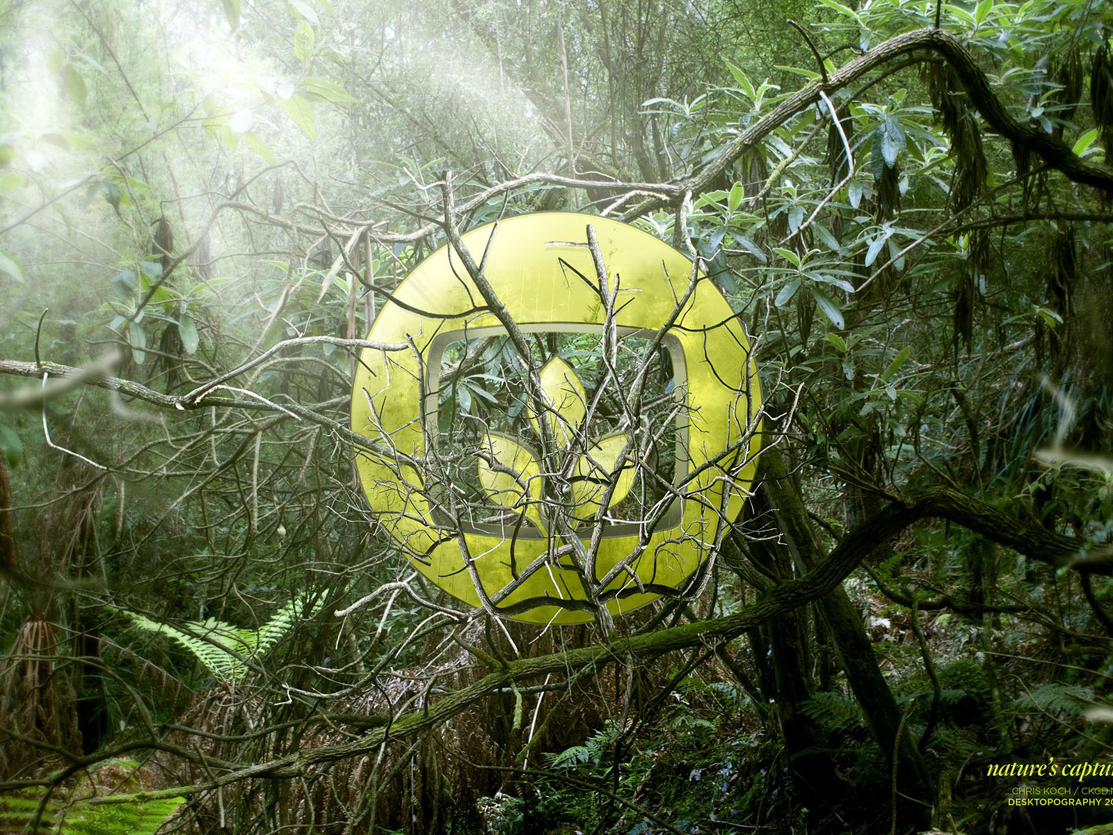 Природный логотип