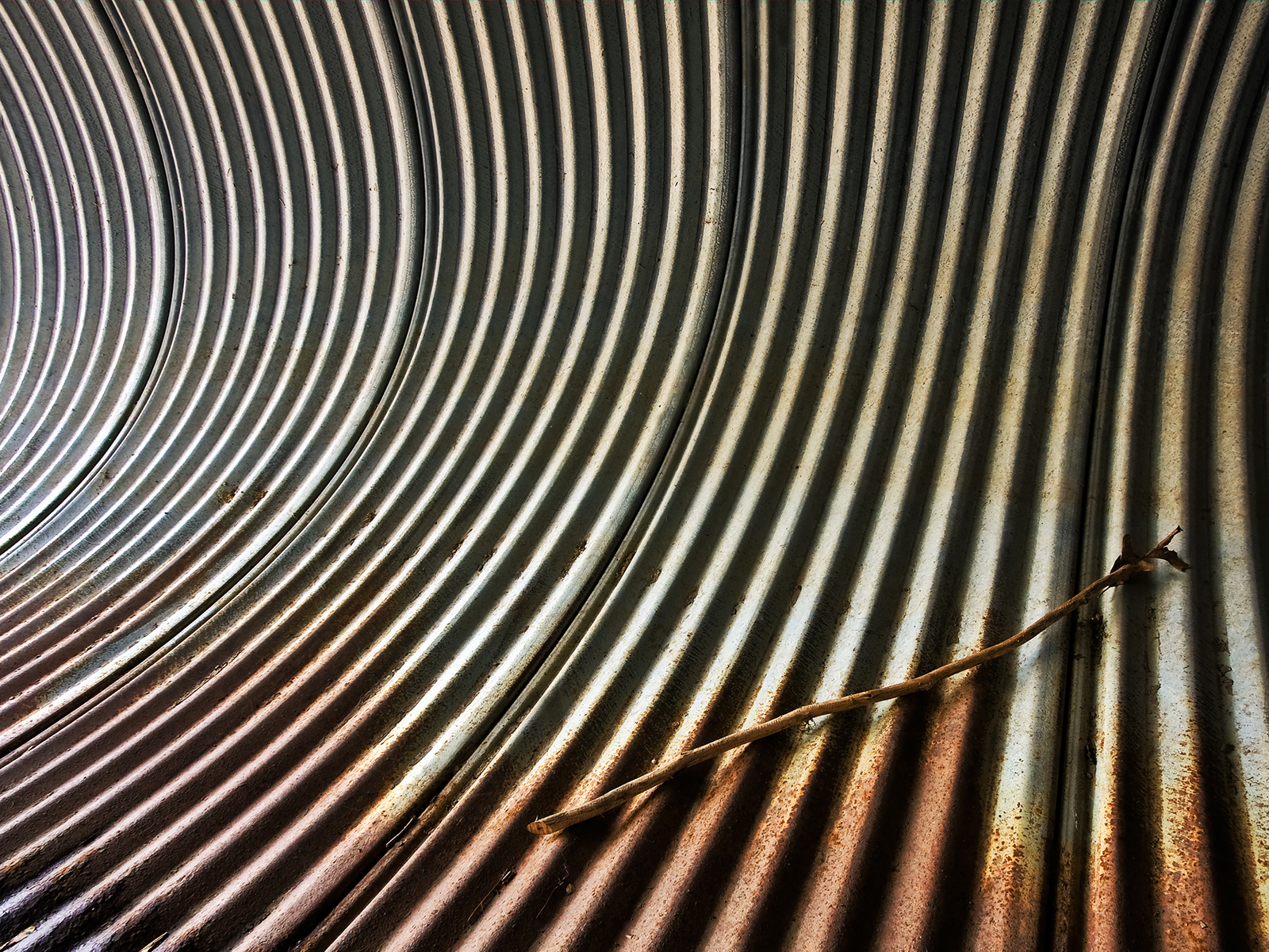 труба зебра