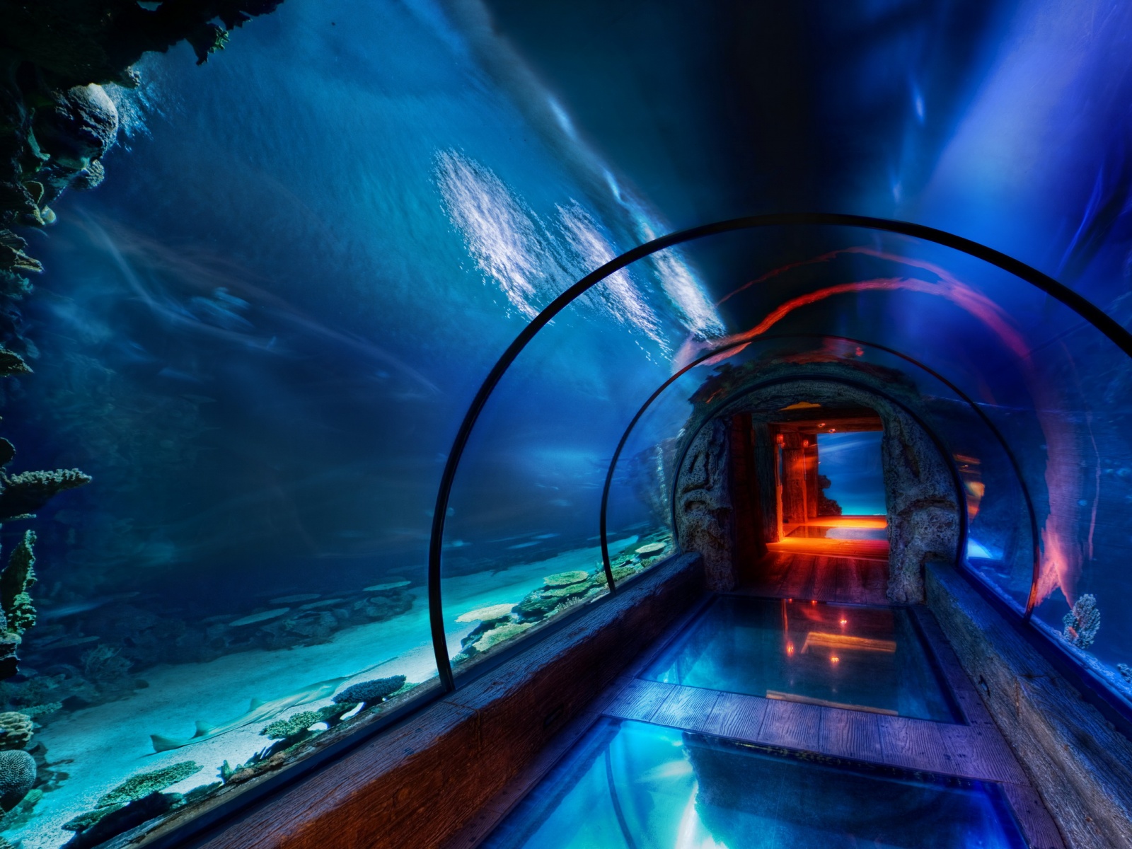 Подводный музей