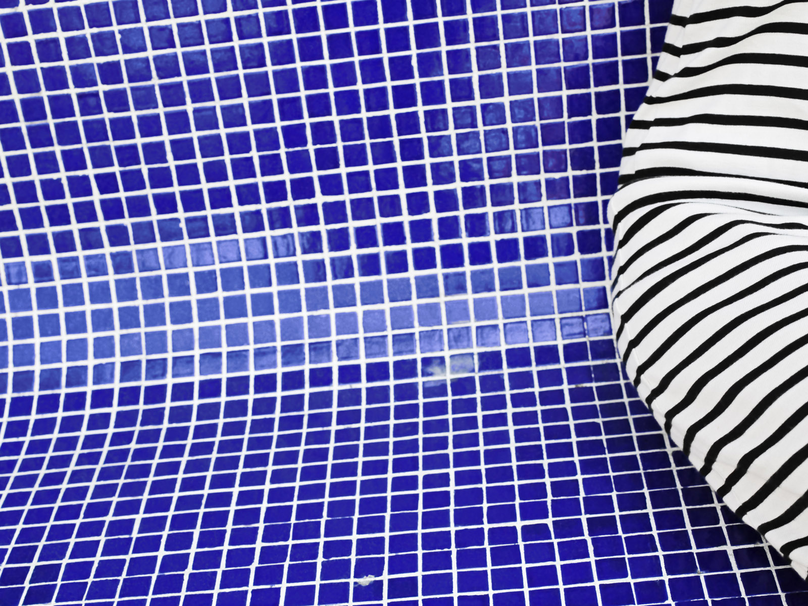 Зебра в бассейне