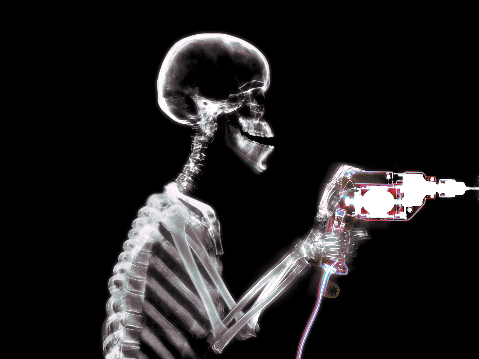 Шумный сосед