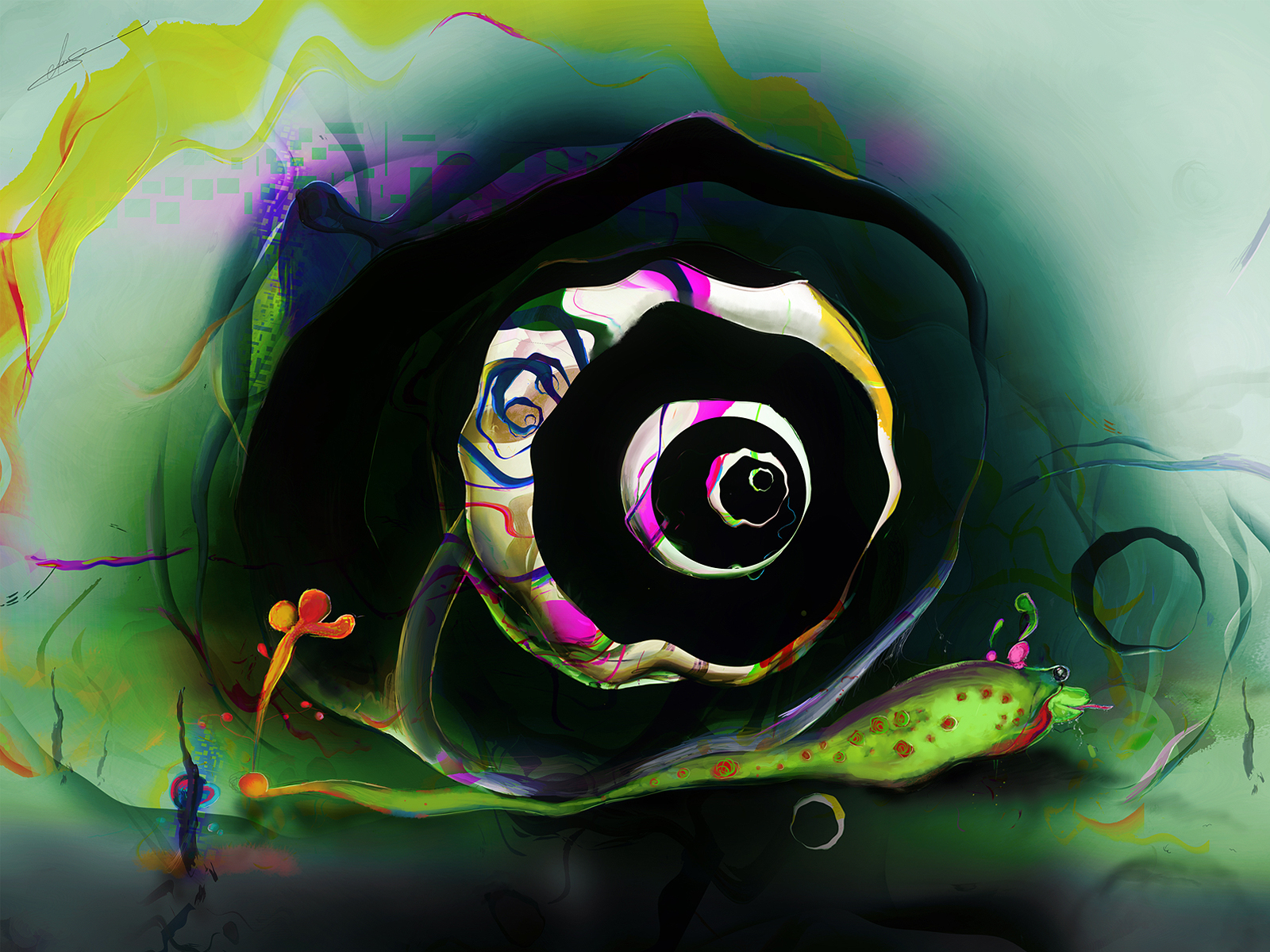 Цветная улитка