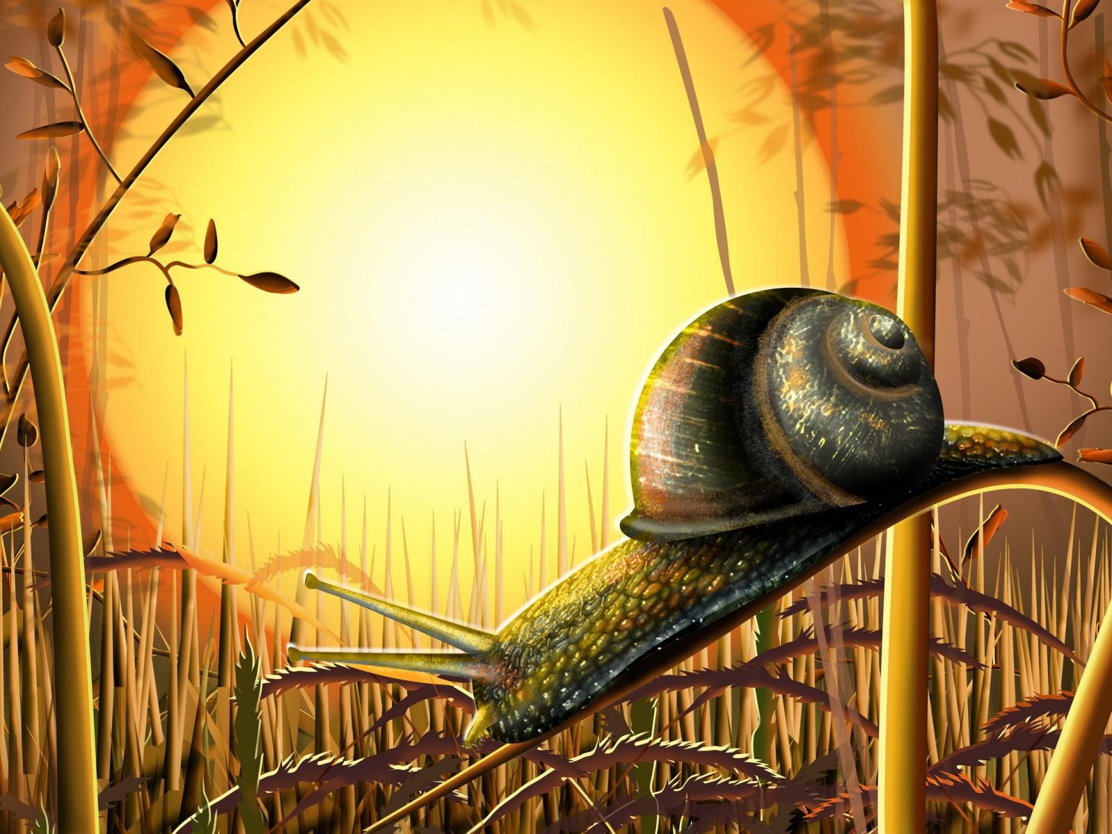 Улитка под солнцем