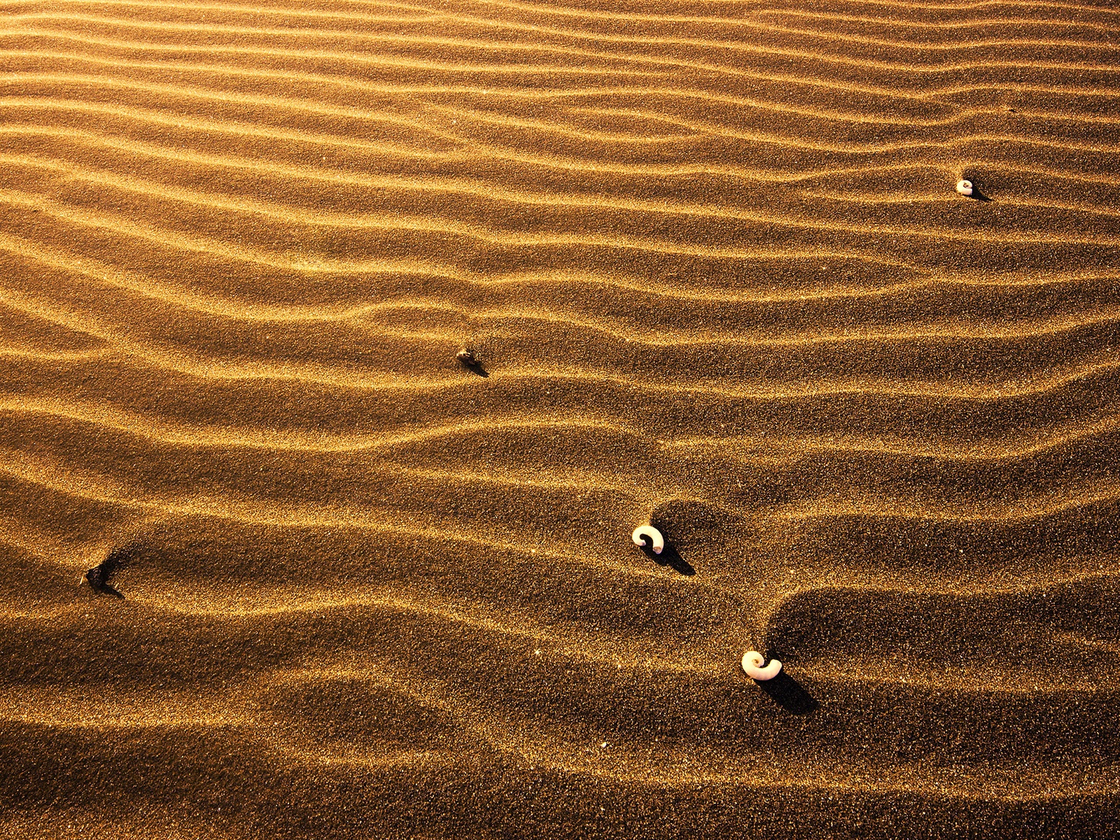 Пляжный песок