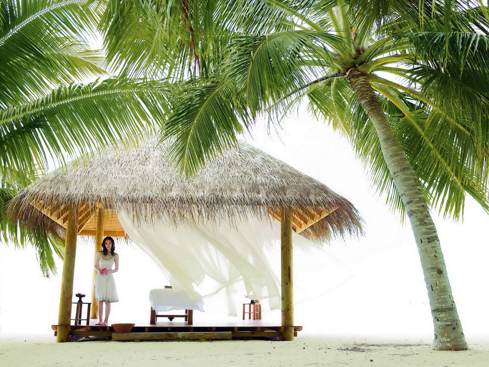 Беседка под пальмой