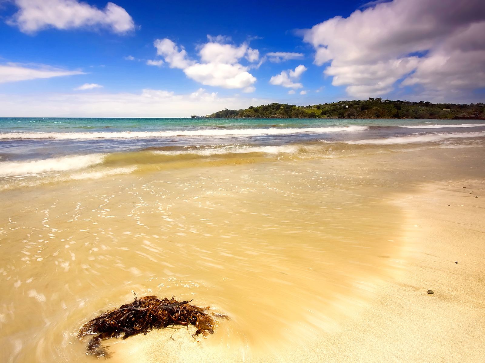 Летний день на пляже