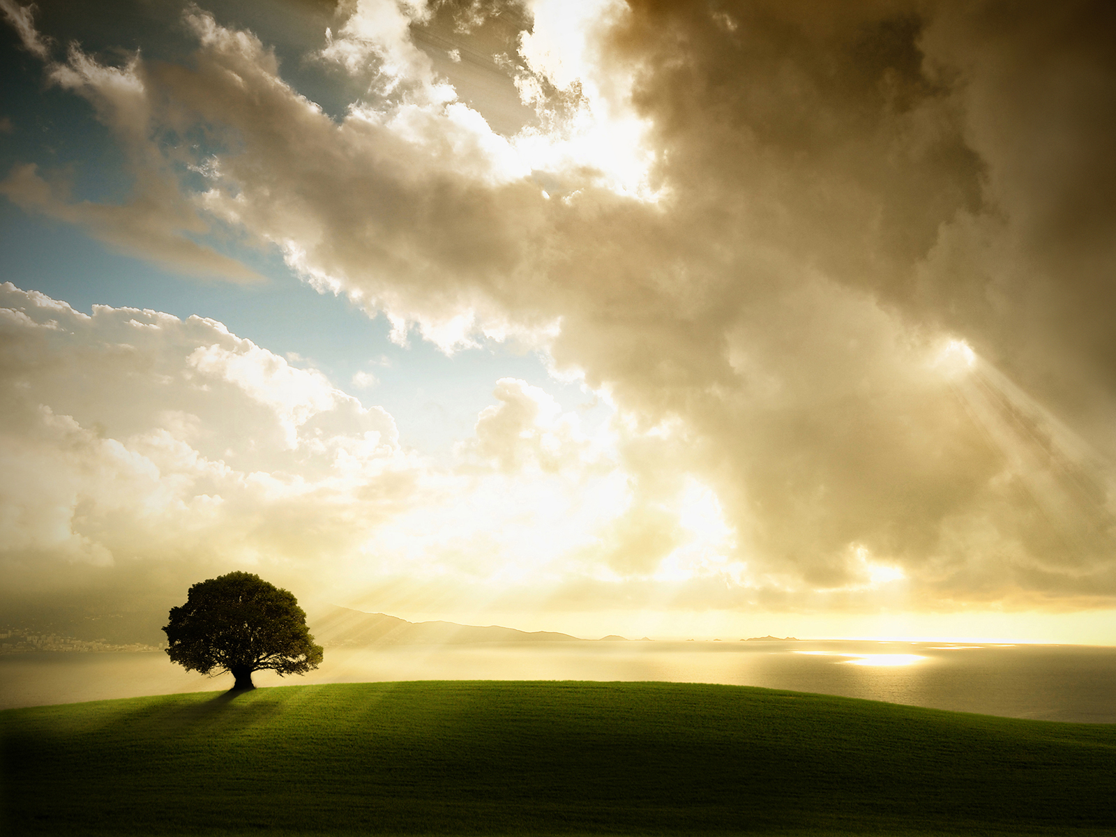 Приближающаяся буря