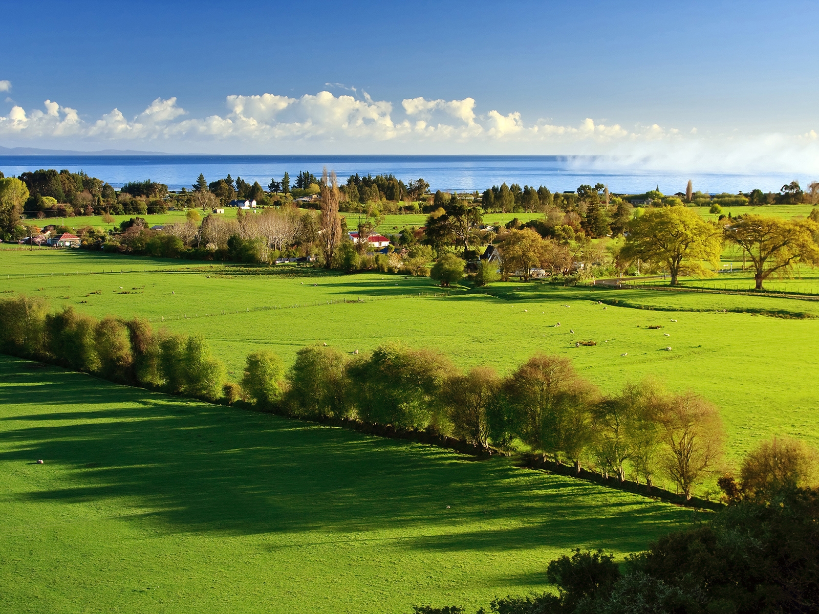 Утро в деревне