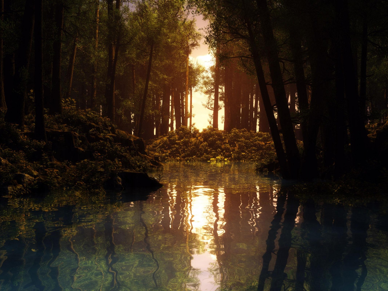 Лесная река на закате