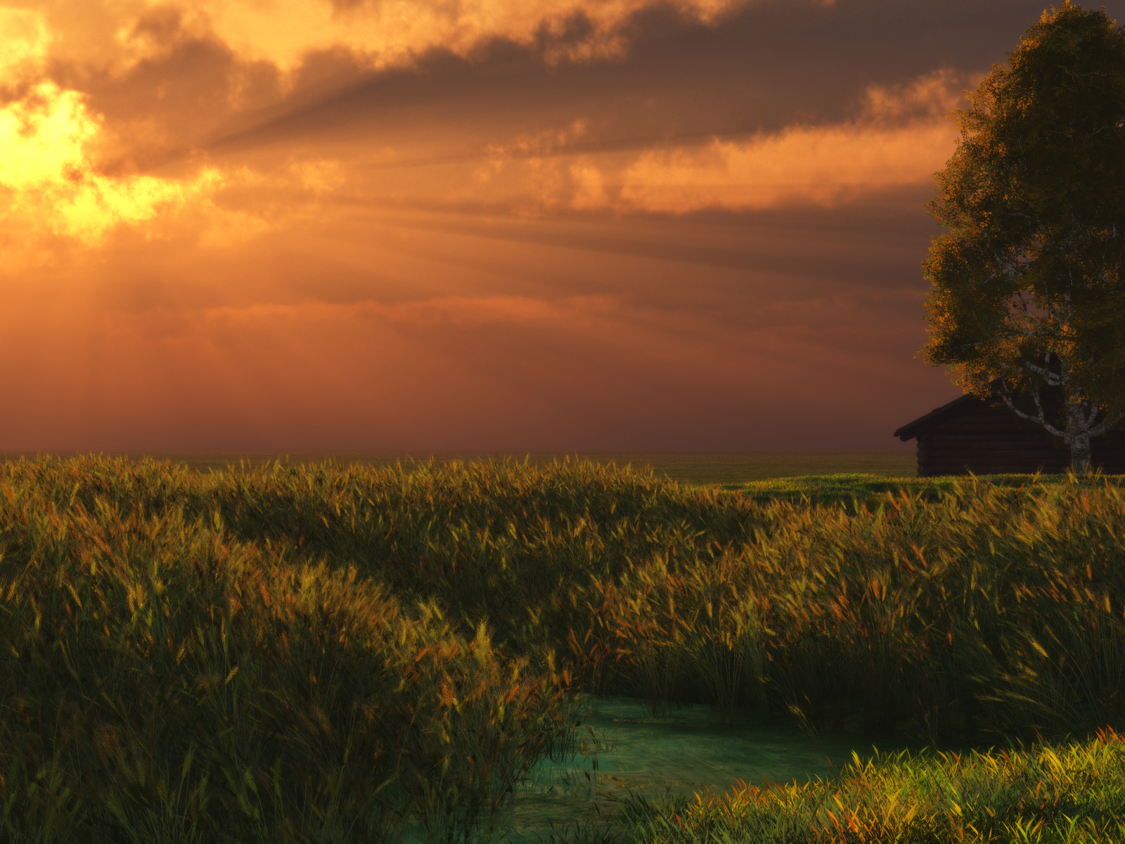 Летний вечер