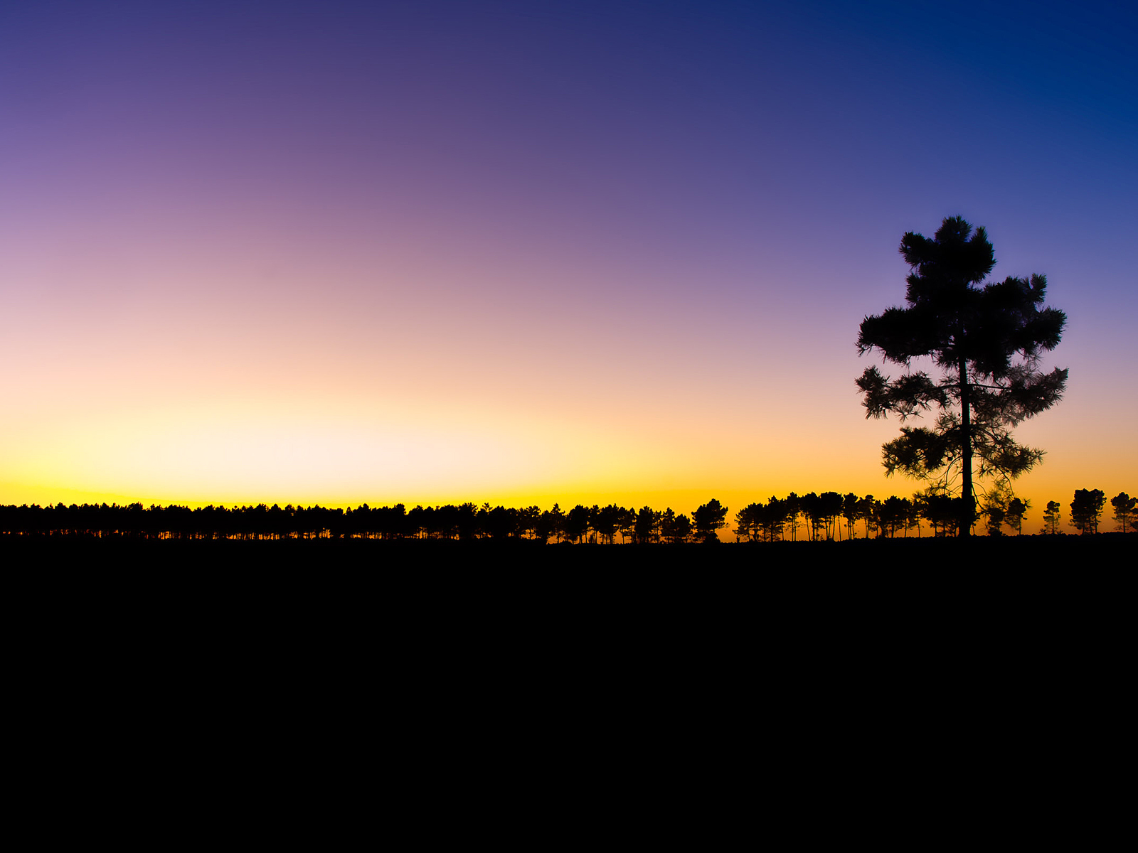 Последний луч света