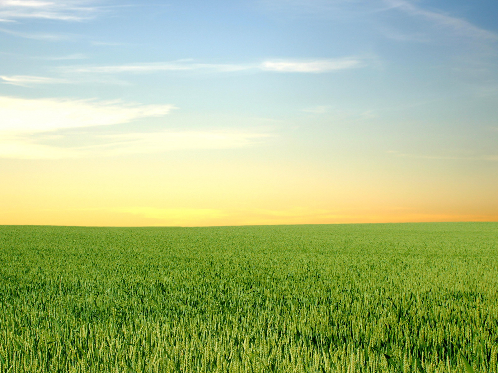 Зеленый горизонт