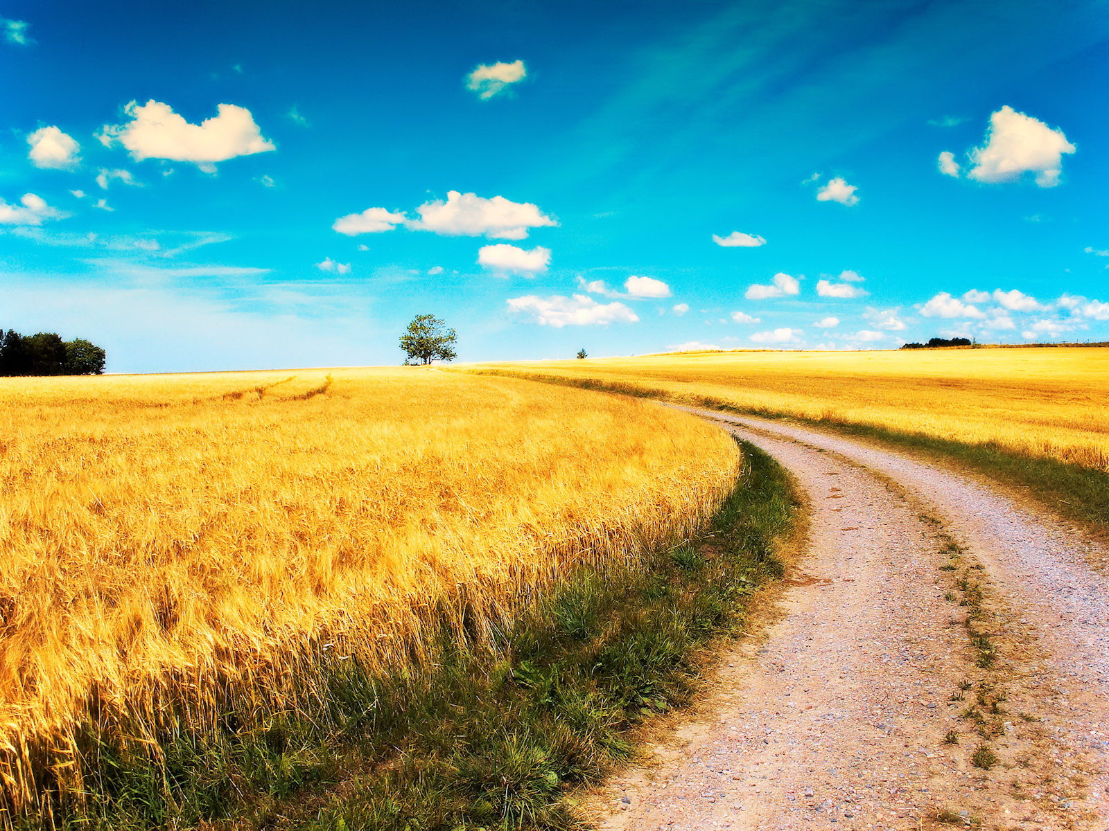 Дорога среди полей