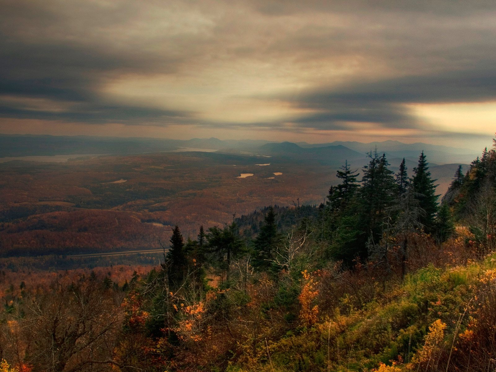 Лес в горах