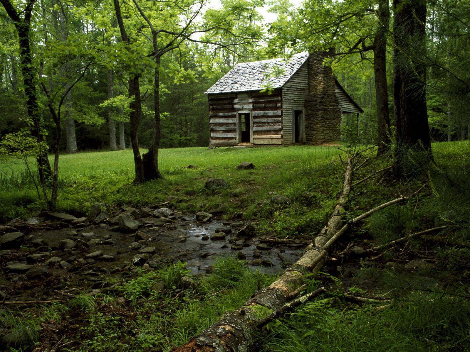 Дом на лесной поляне