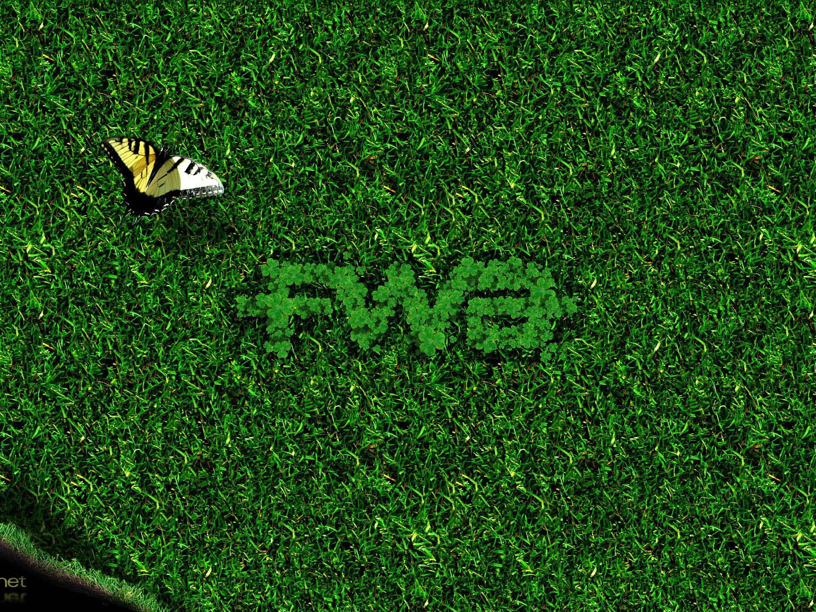 Бабочка на зеленой траве