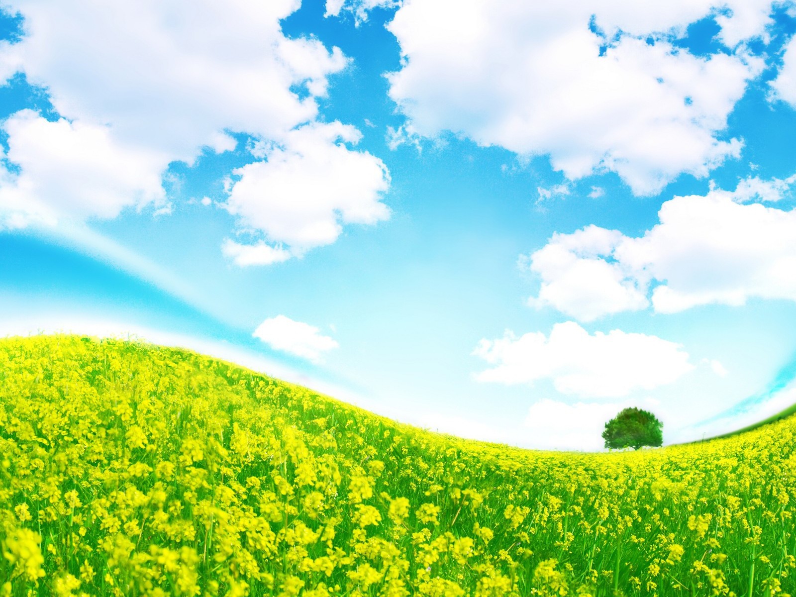 Крутая полянка