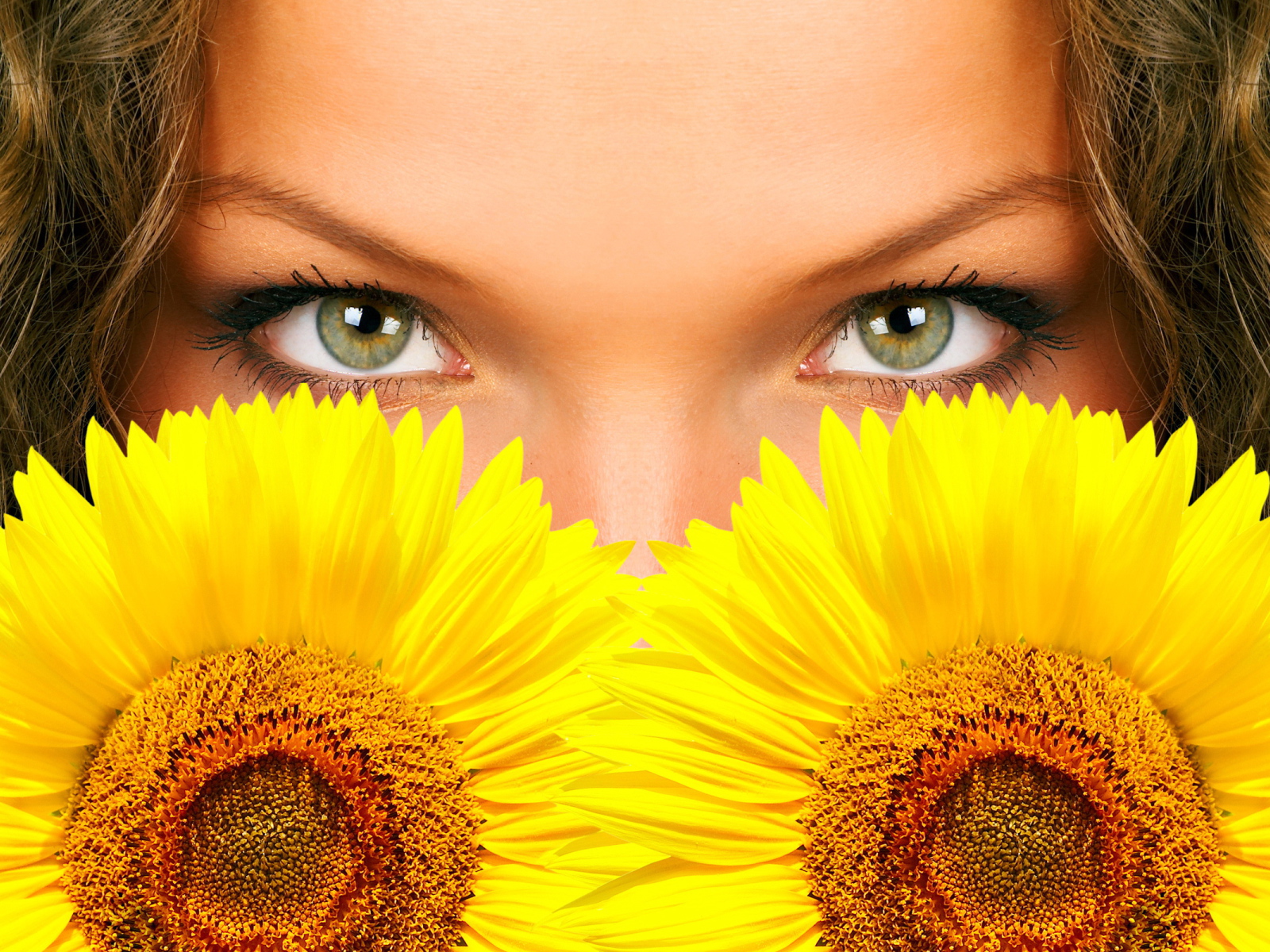 Солнечный взгляд