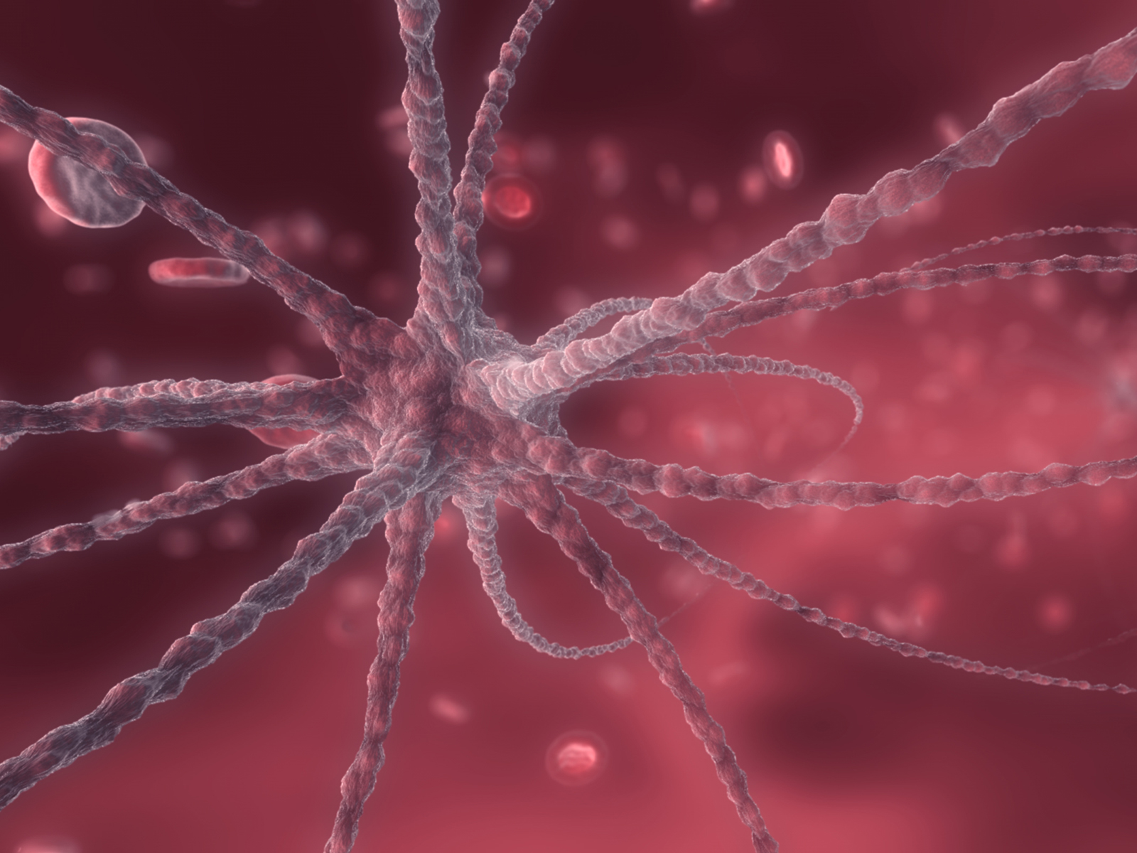 Кровяные тельца