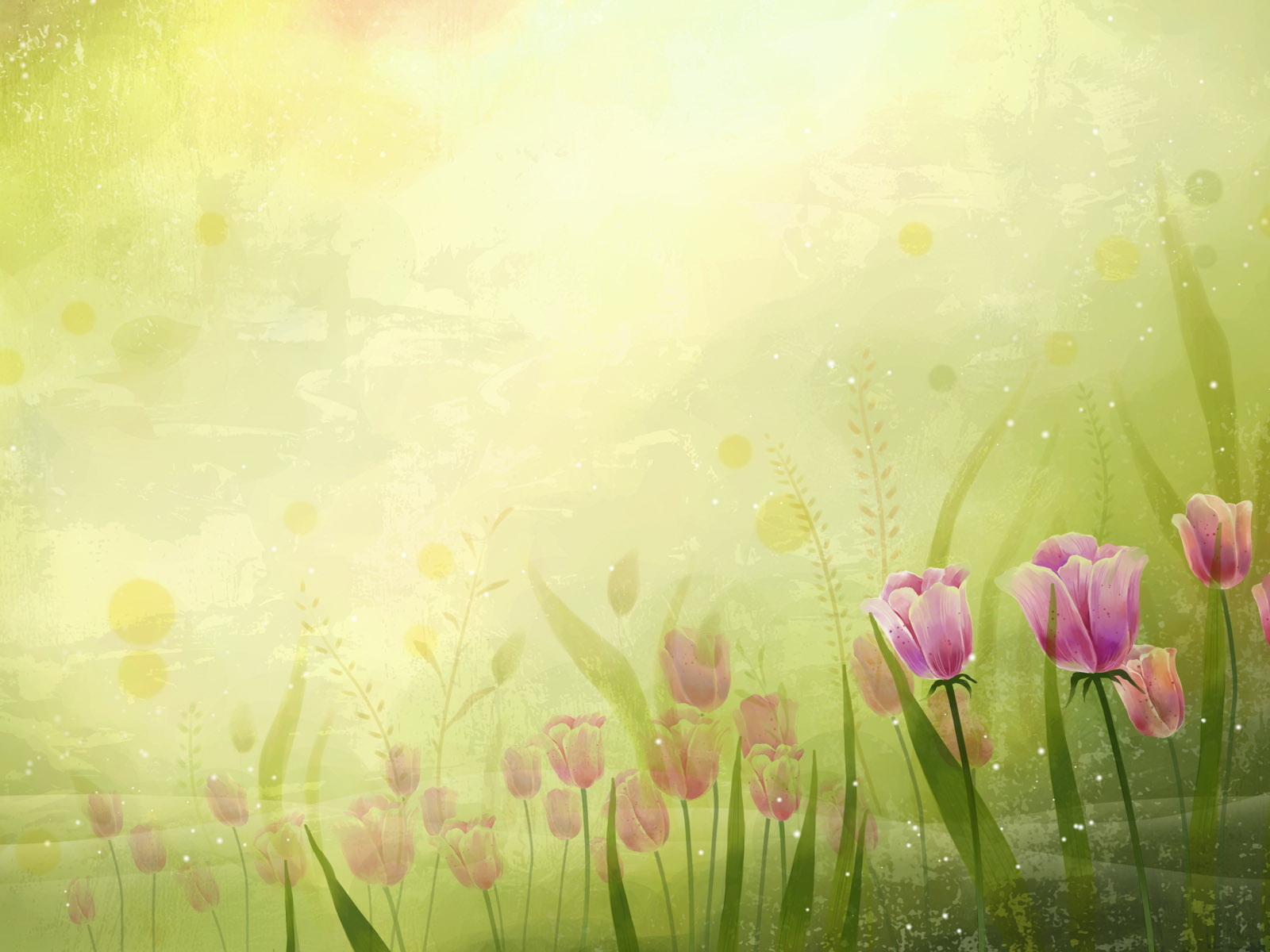 Поле цветов