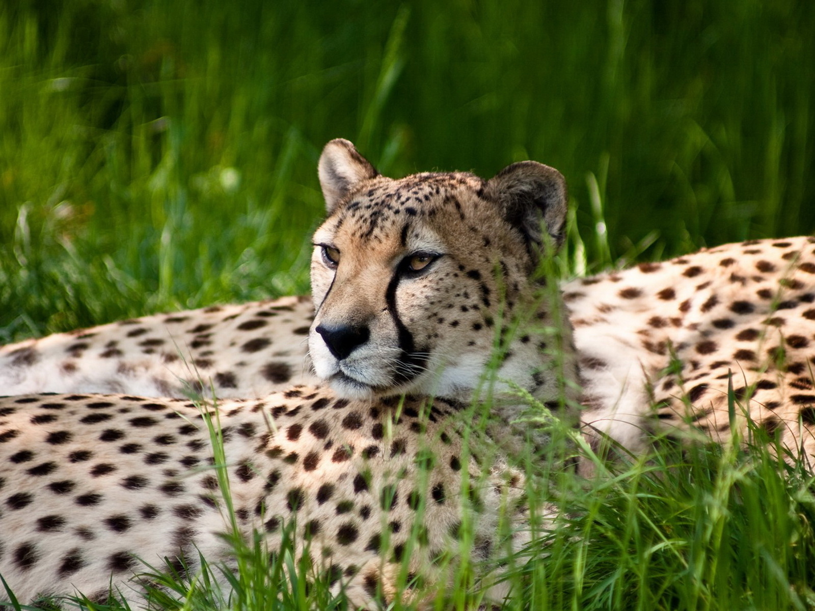 Отдыхающие 