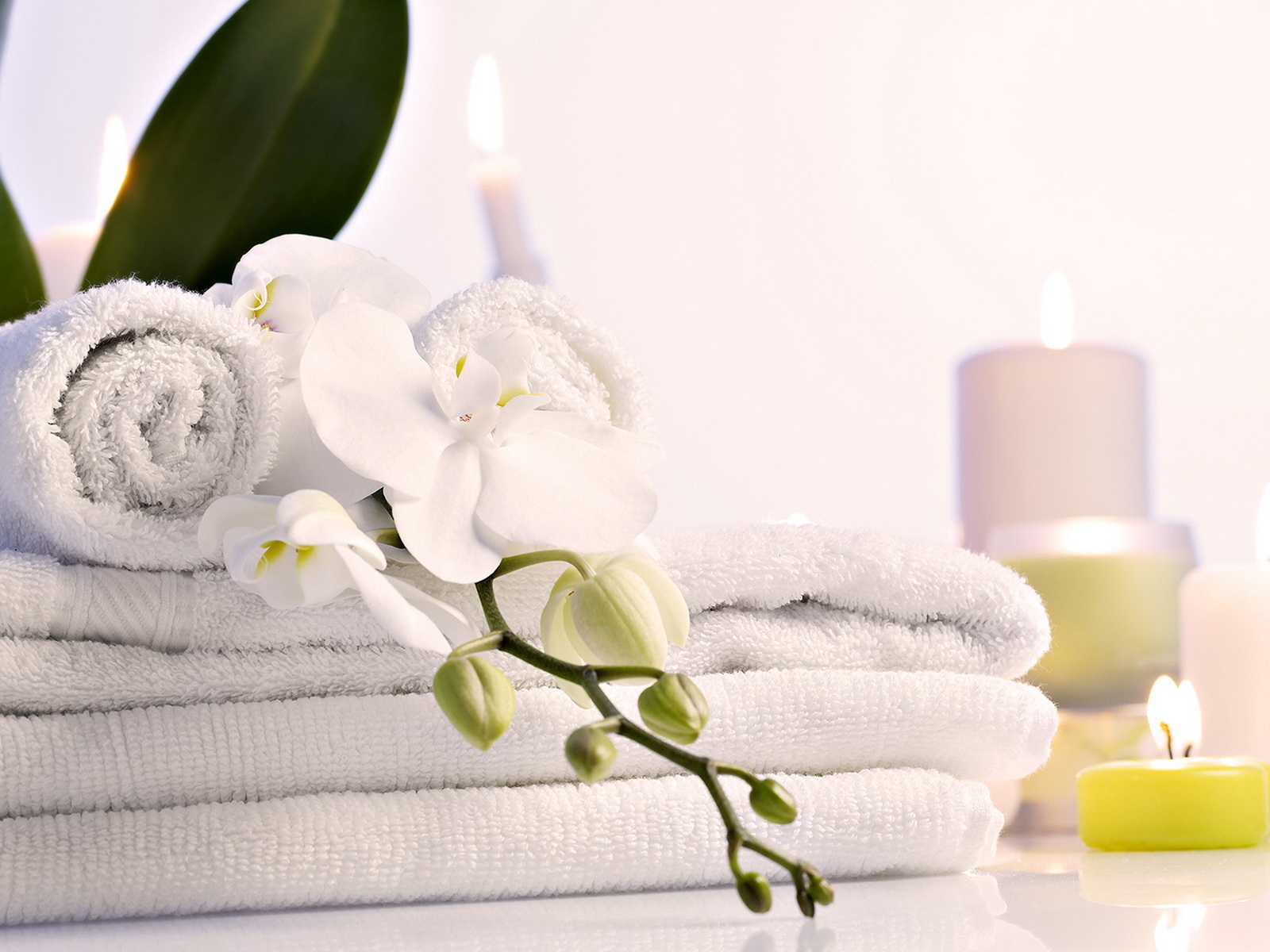 Чистые полотенца