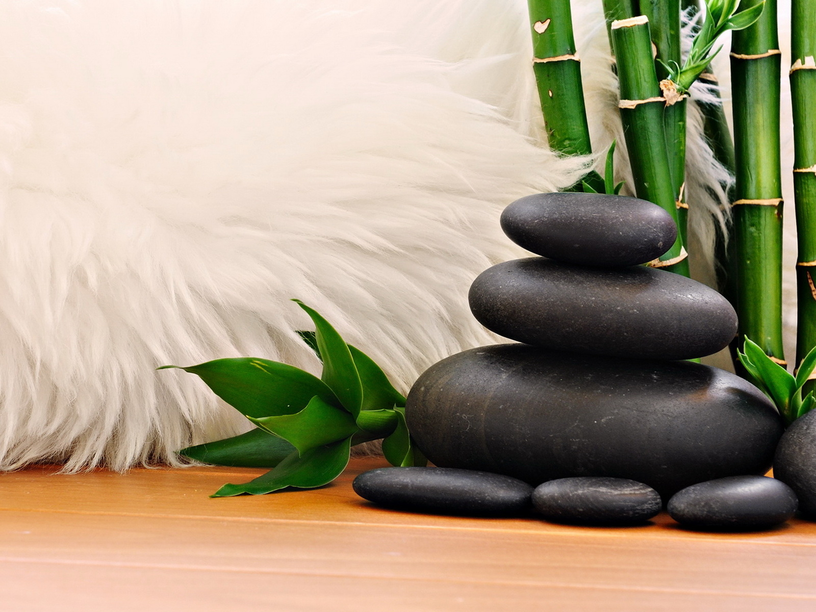 Мех, камни, тростник