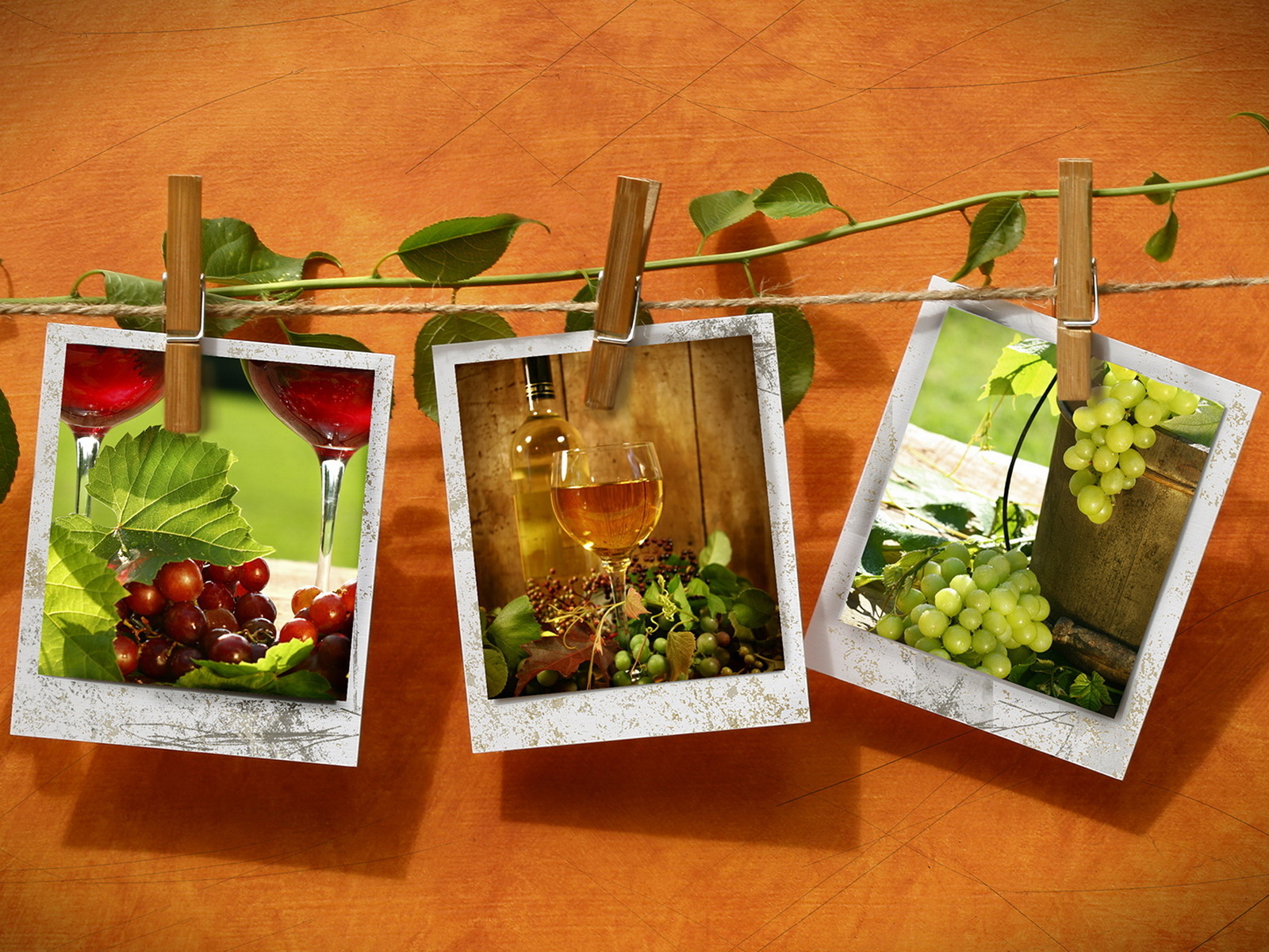 Фотографии