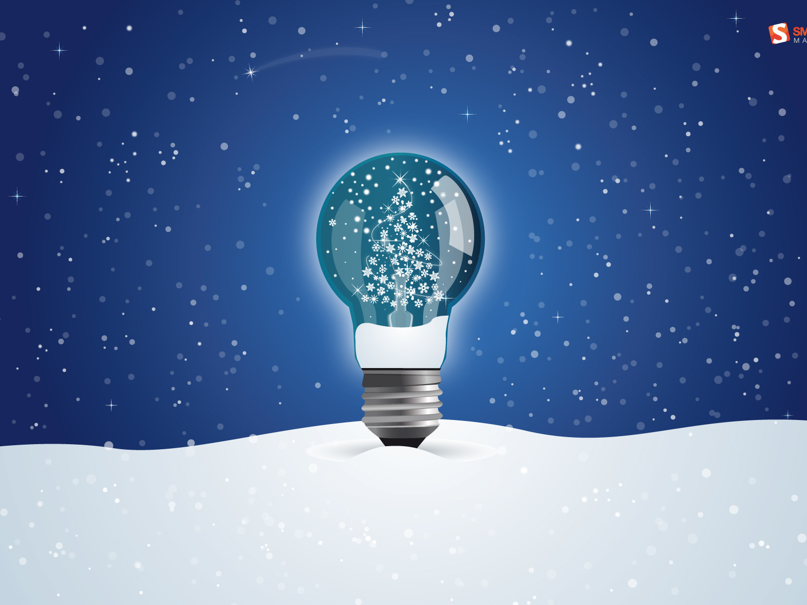 Елка к Новому Году 2011