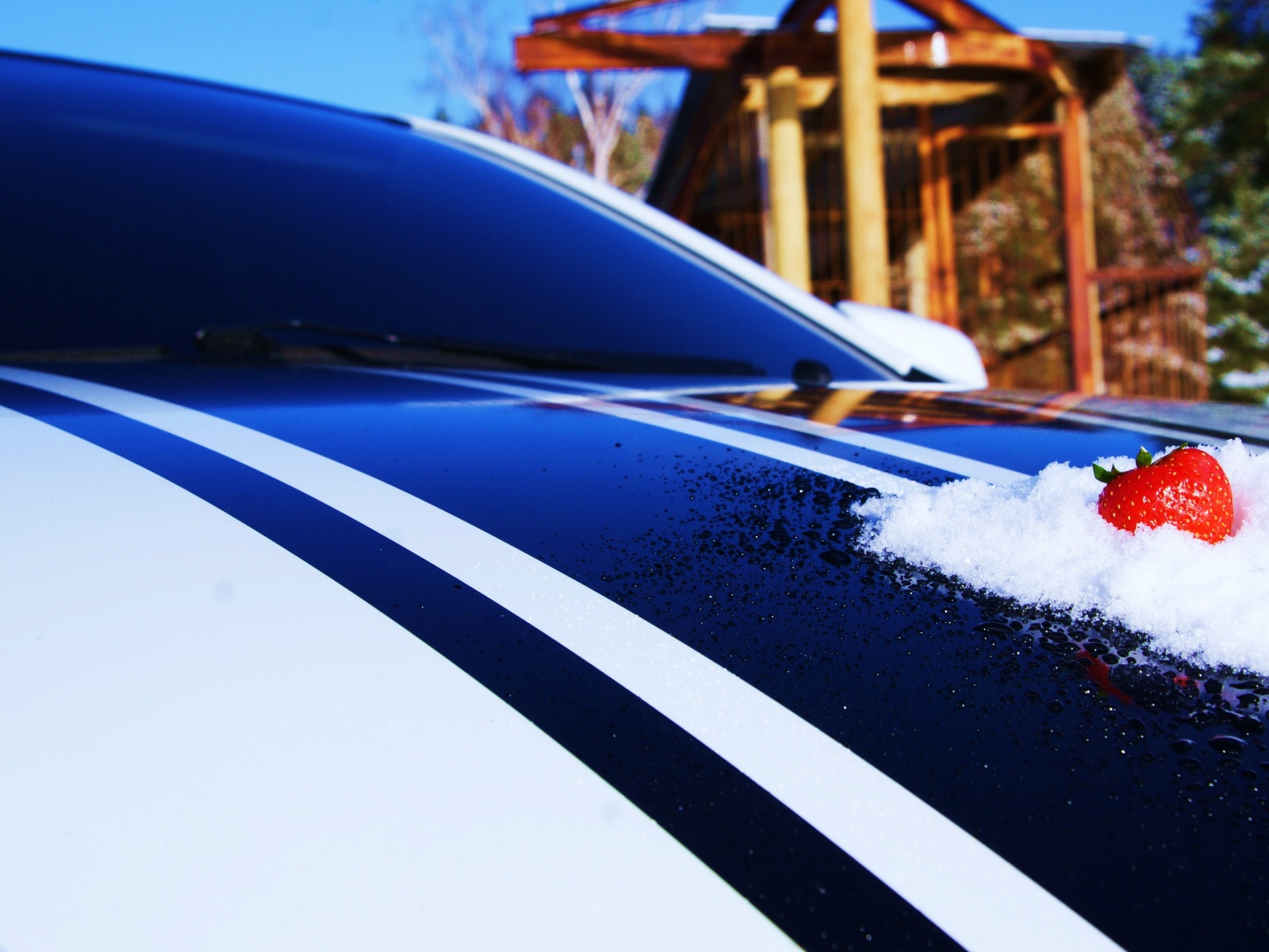 Клубника на капоте