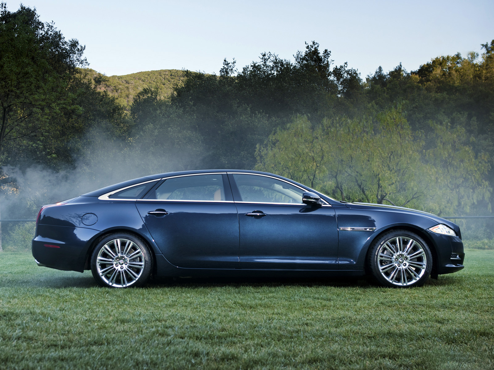 Ягуар XJ в лесу