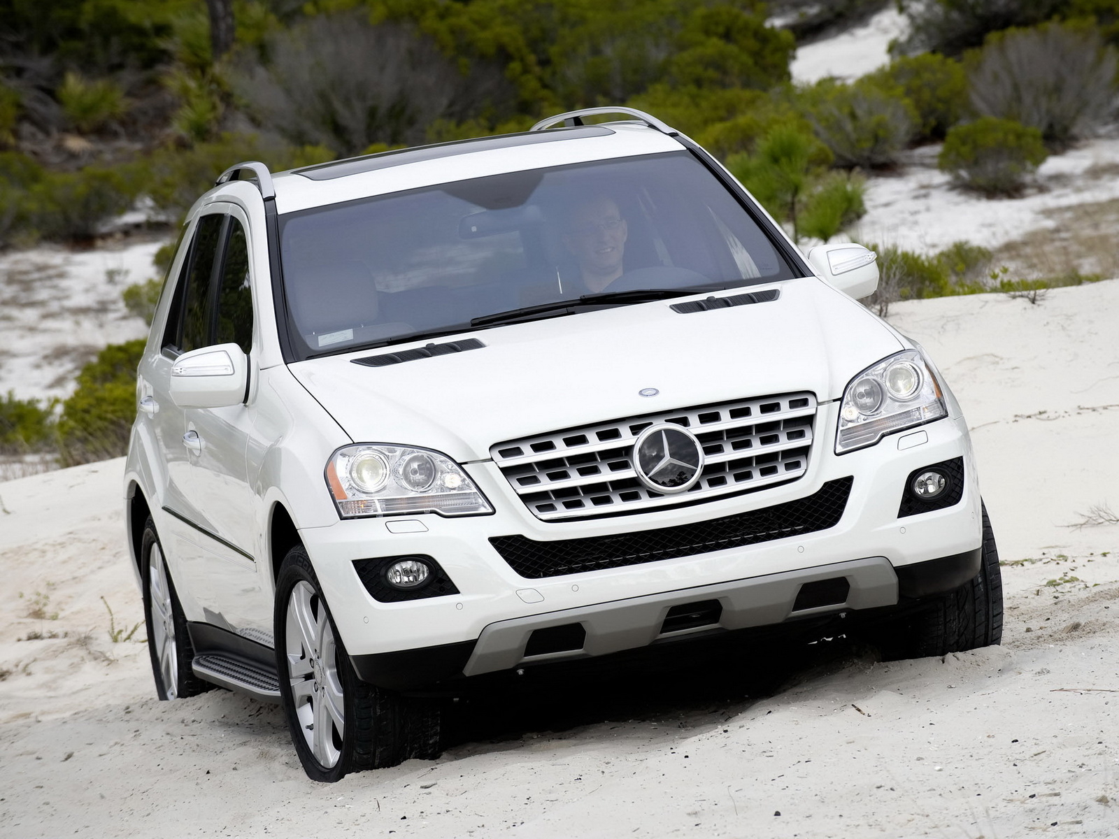 Mercedes-Benz ML320 Bluetec