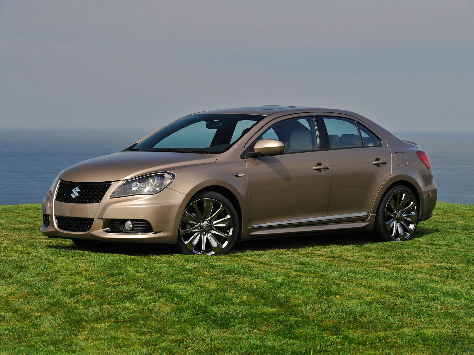 Сузуки Кизаши на газоне среди зелени