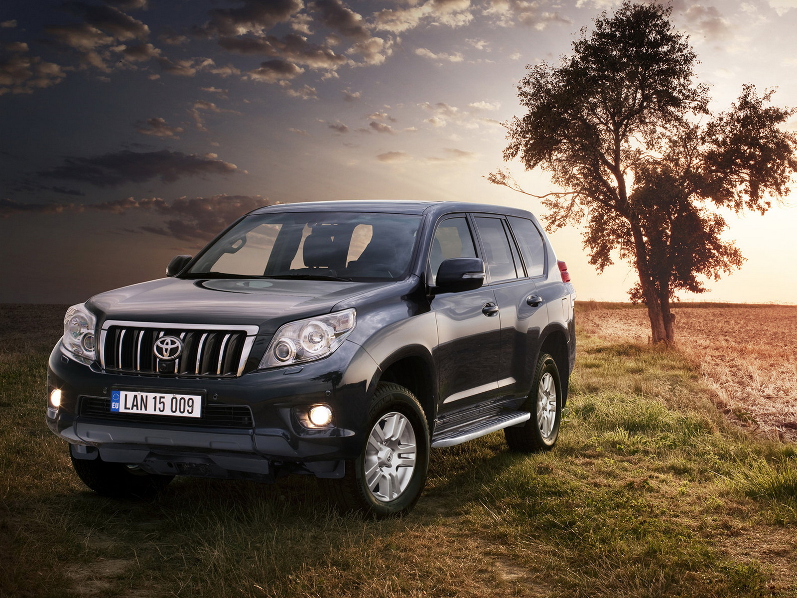 Toyota Land Cruiser возле дерева