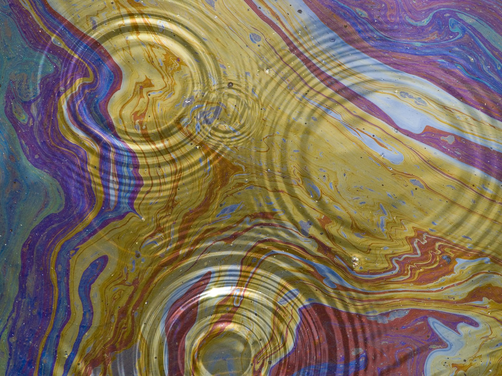 Нефтяное пятно в Мексиканском заливе