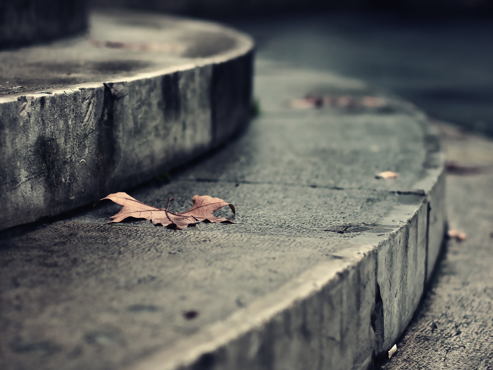 Листья на ступеньках