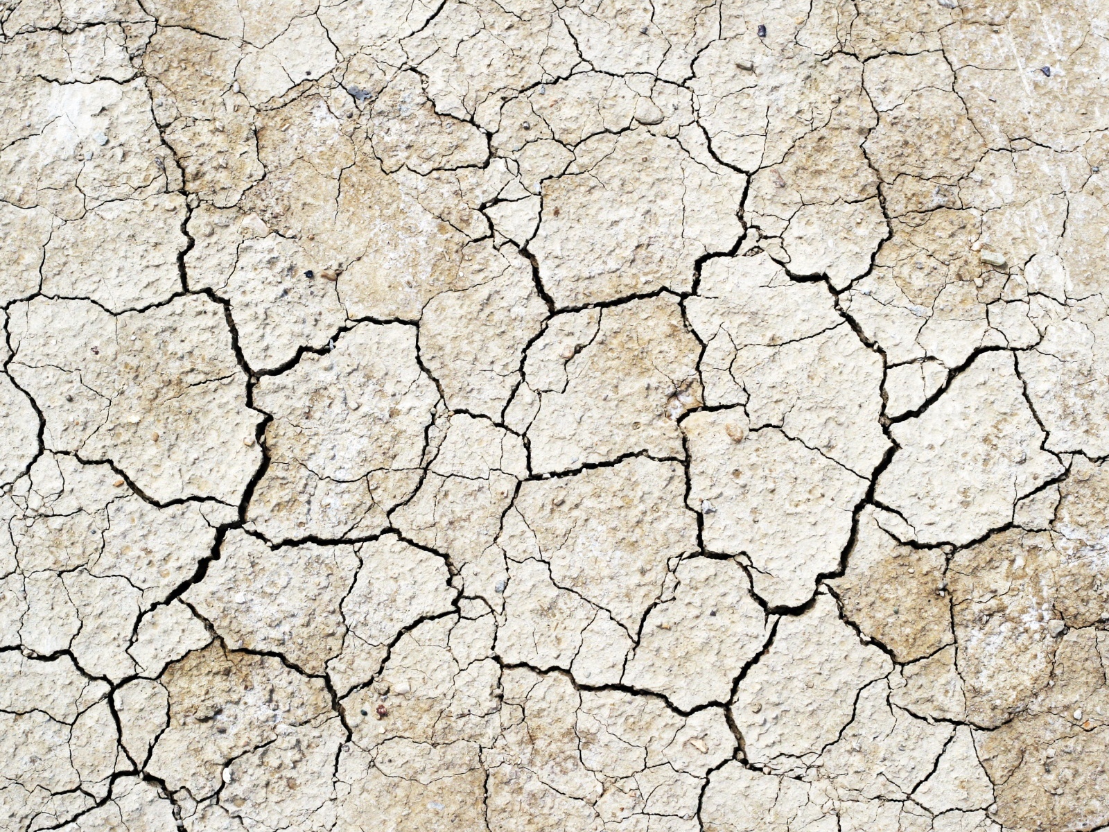 Земля выжженная солнцем