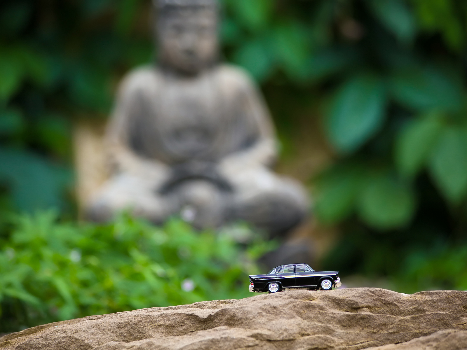 Дорога к Будде