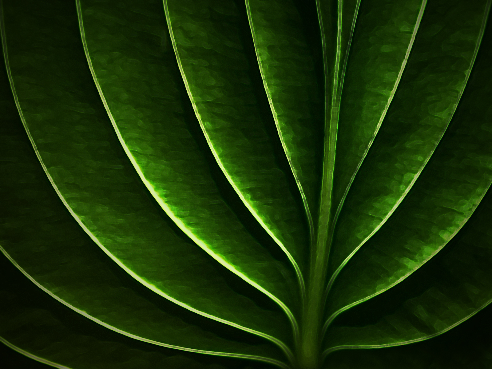 Неоновый листик