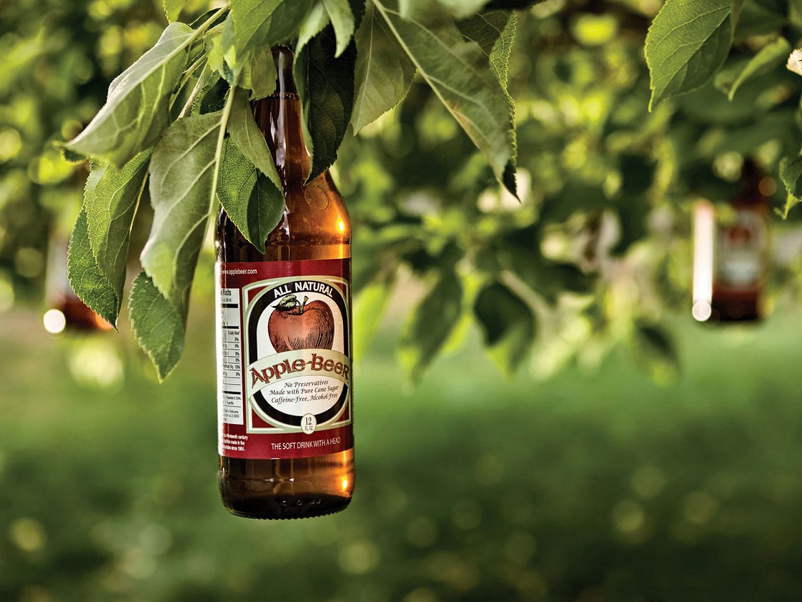 Яблочное пиво