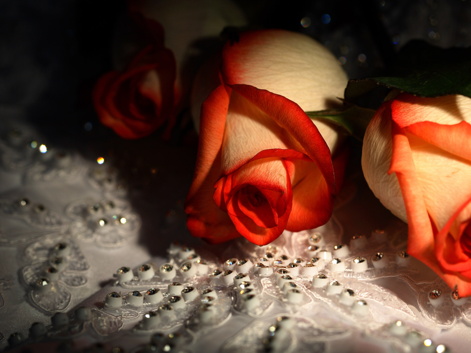 Красивые цветы девушкам