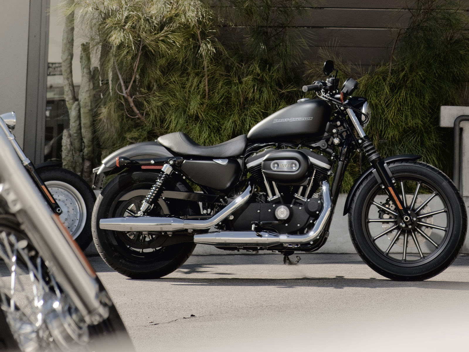 Харлей Девидсон 883