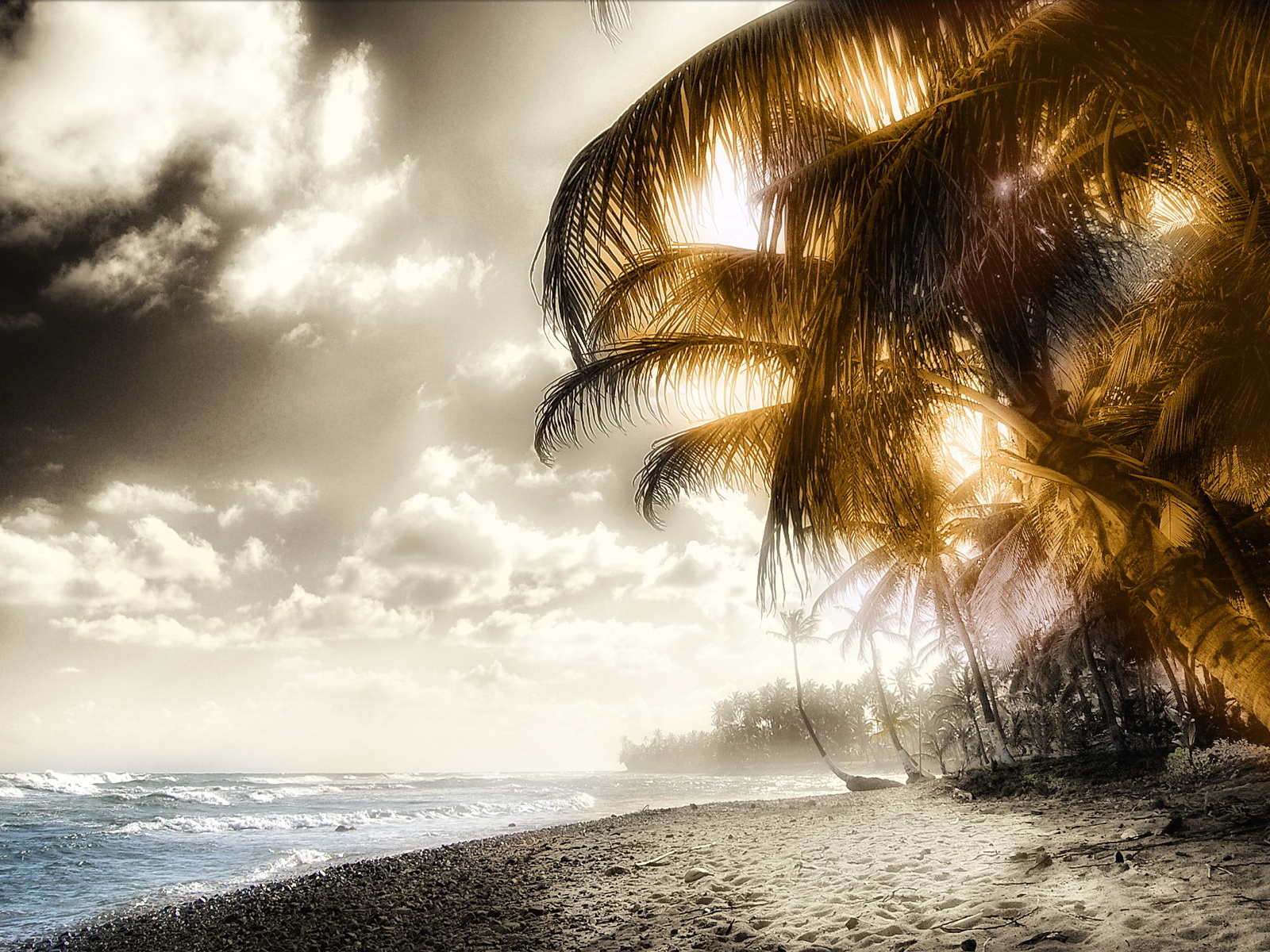 Пляж и пальмы