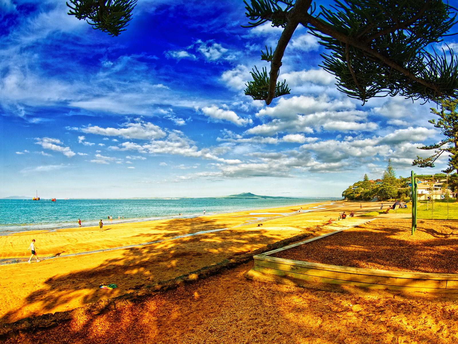 В тени деревьев