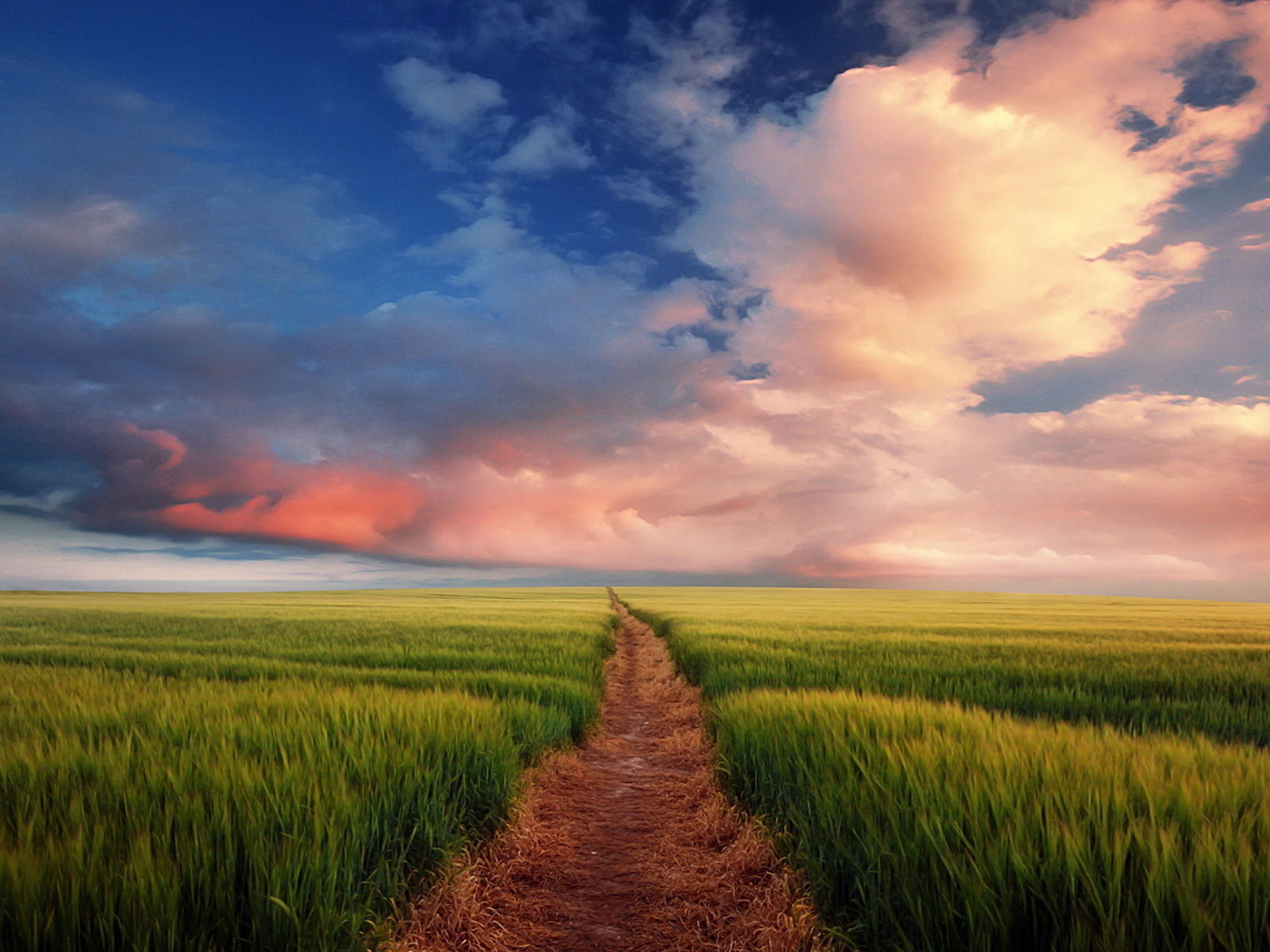 Тропинка через поле