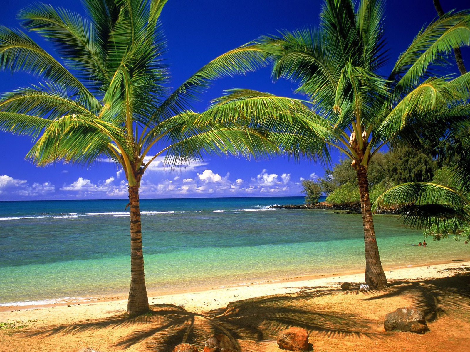 Пальмы, остров, пляж